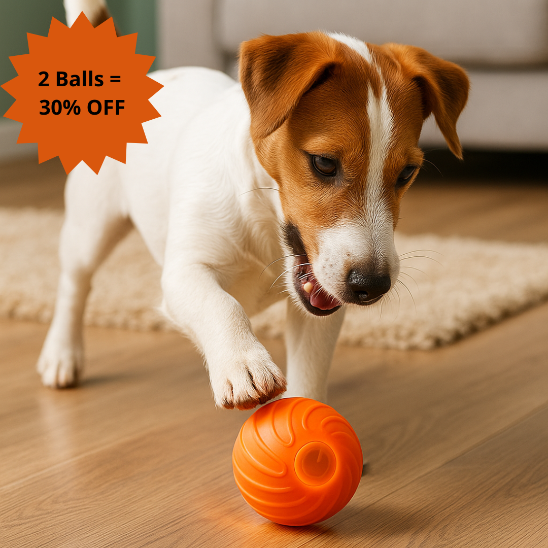 BounceBuddy™ La pelota inteligente que rebota