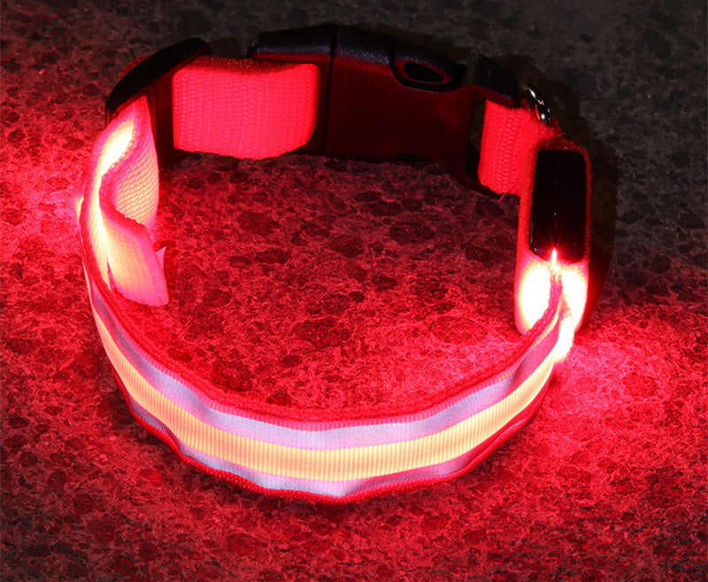 SafeWalk LED Collar