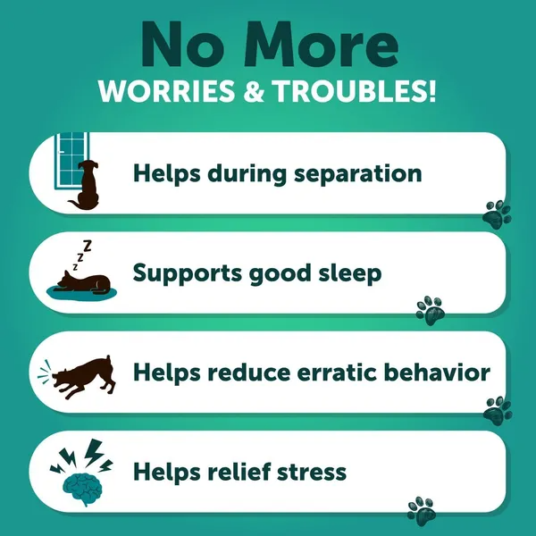 ZenPaws™ Calm & Comfort Daily Dog Treats