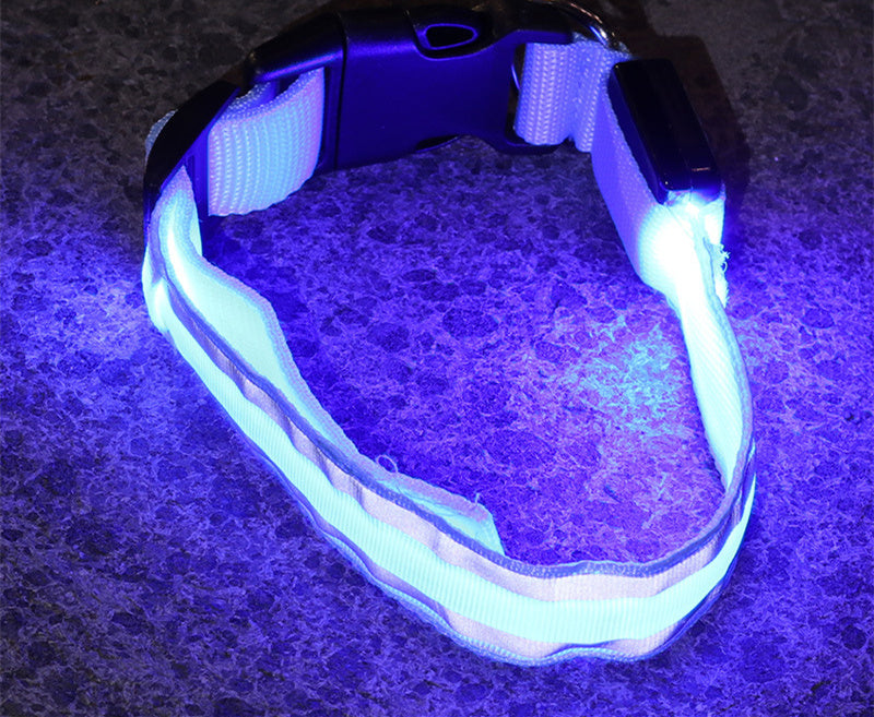 SafeWalk LED Collar