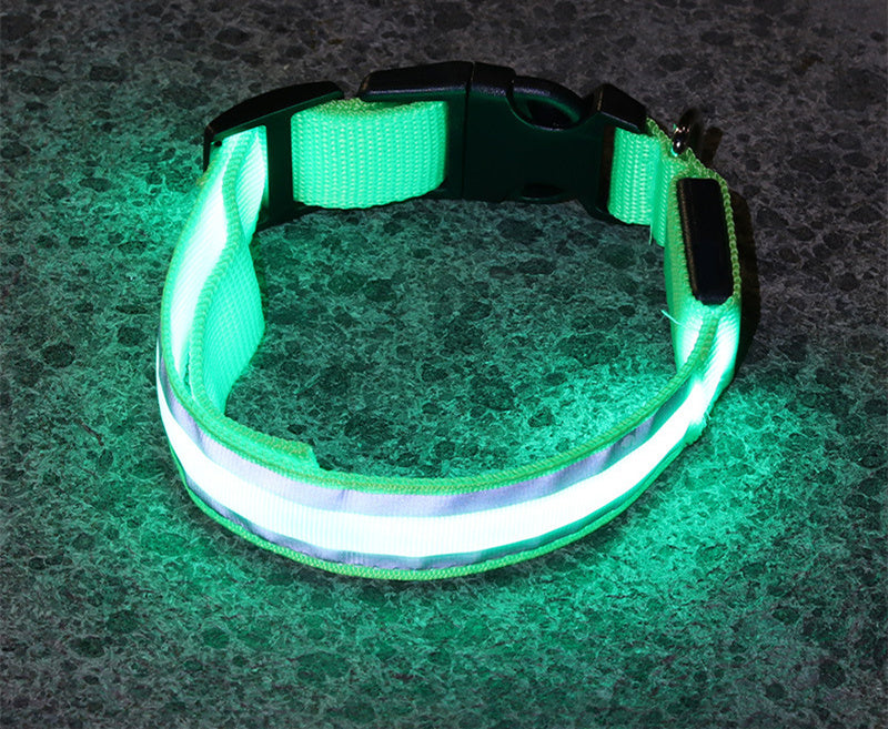 SafeWalk LED Collar