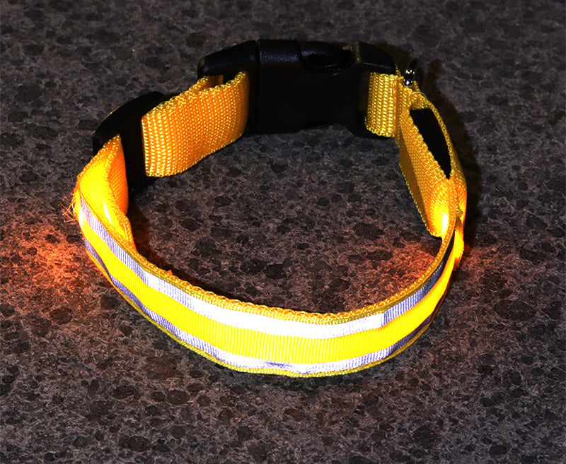 SafeWalk LED Collar