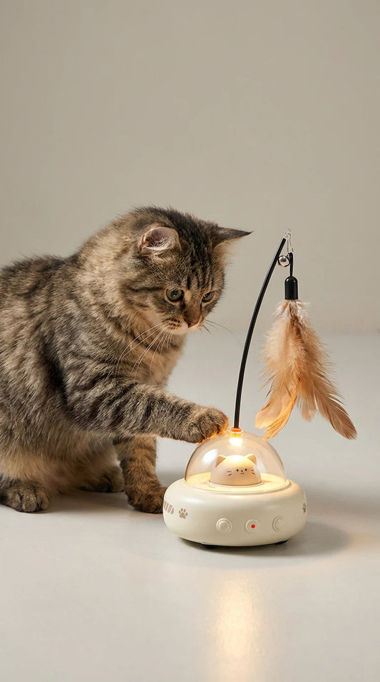 UFO Cat Chase Toy