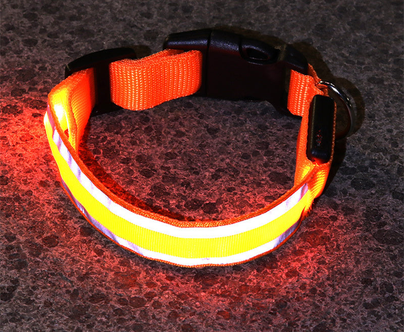 SafeWalk LED Collar