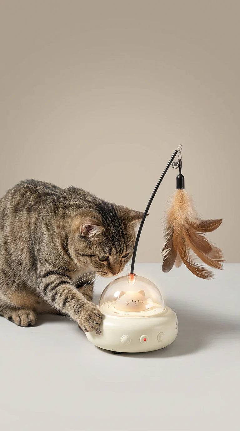 UFO Cat Chase Toy