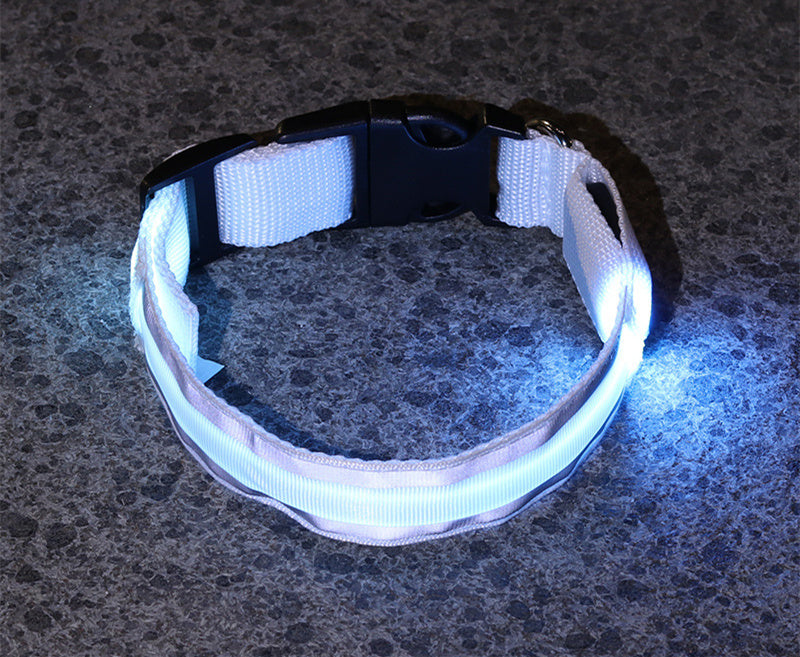SafeWalk LED Collar